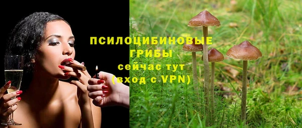 тгк Алексин
