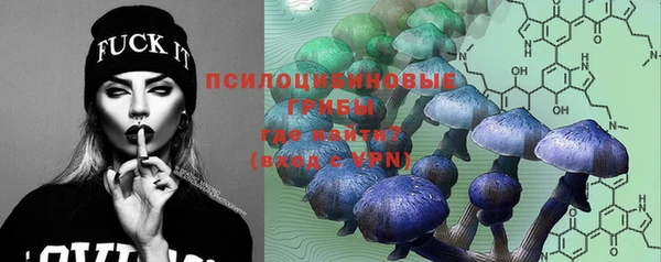 тгк Алексин