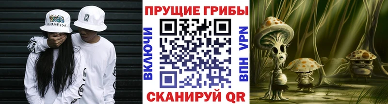 Псилоцибиновые грибы мухоморы  наркотики  Гусь-Хрустальный 